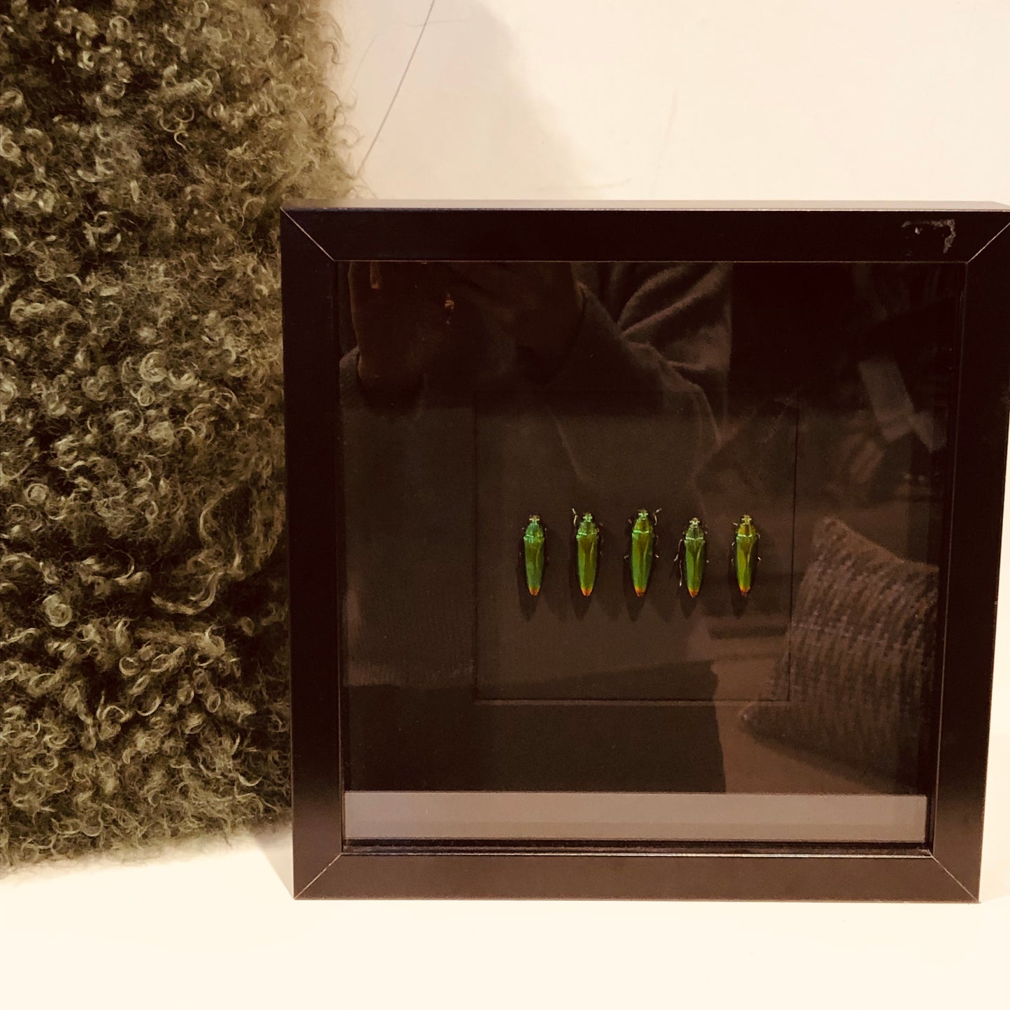 Houten kader met groene krekels