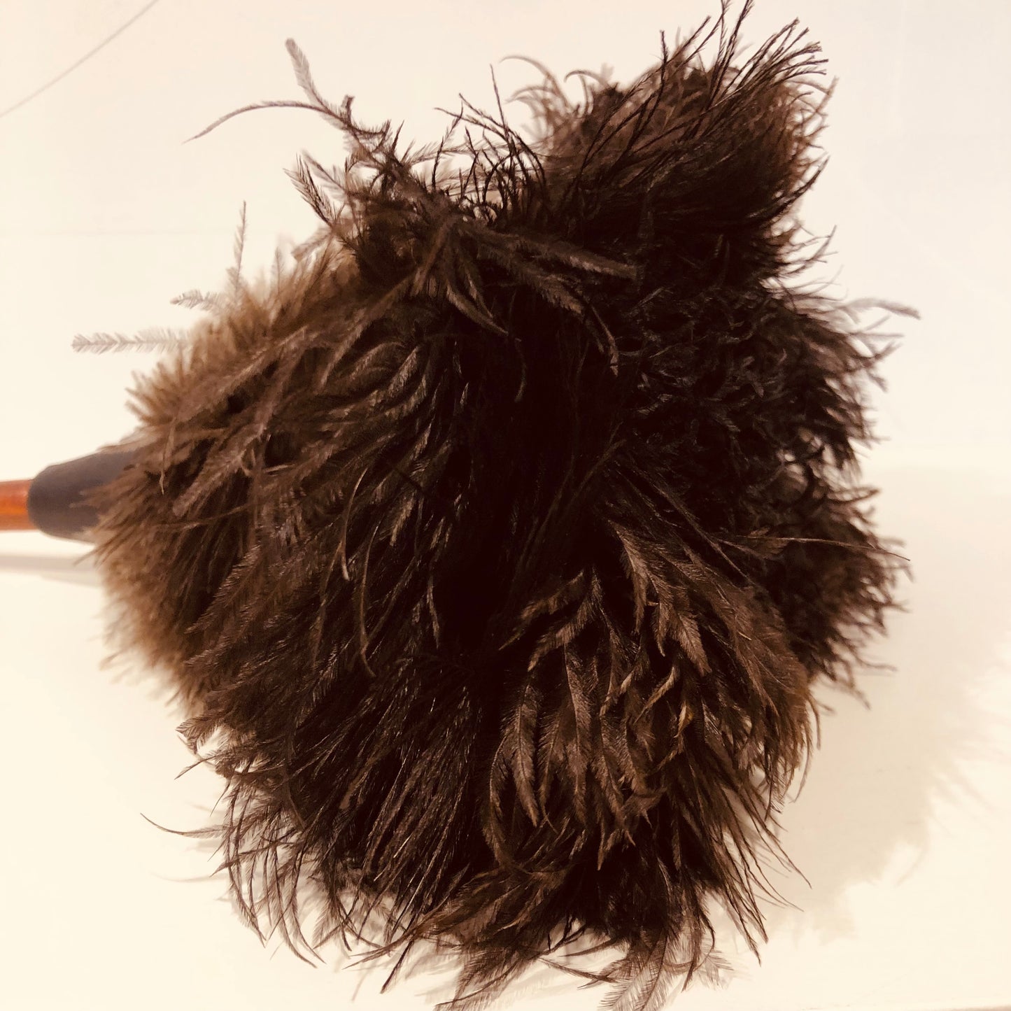 Plumeau met struisvogelveren