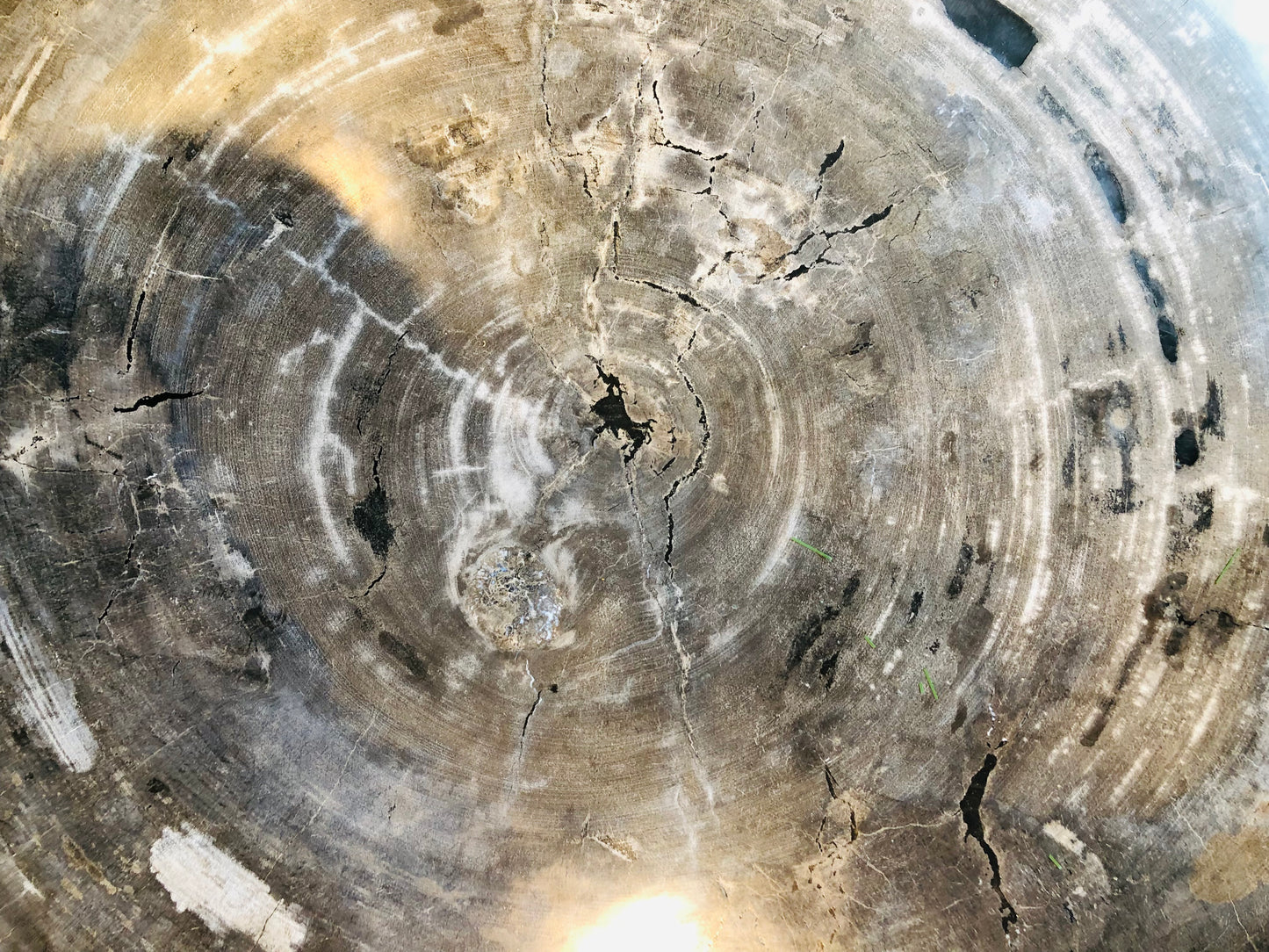 Petrified wood blad salontafel set