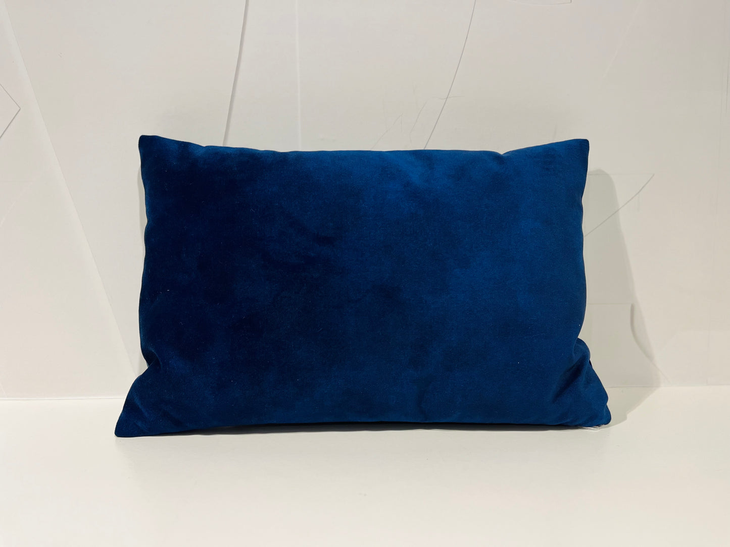 Kussen Blue Velvet