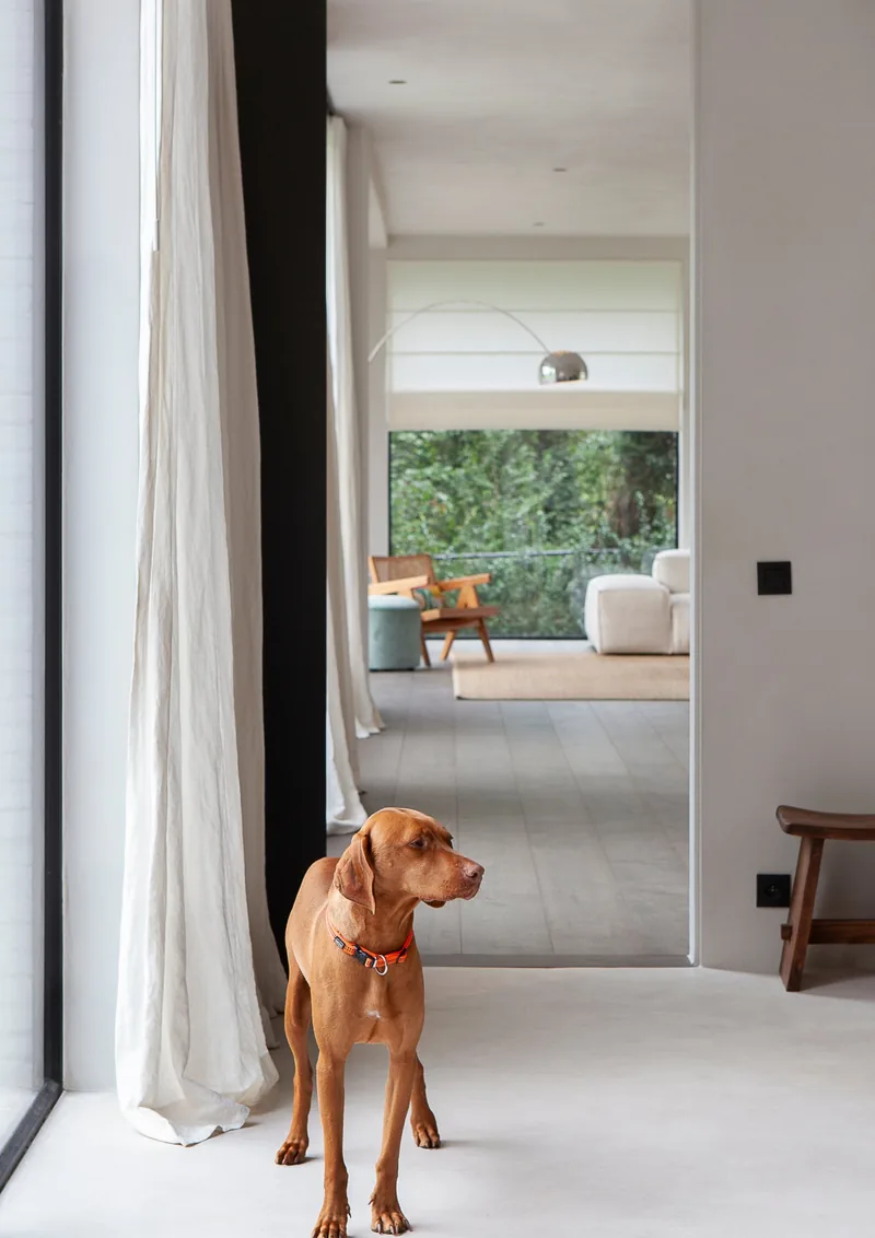 Realisatie Burigat Decoratie, Gent - foto 3