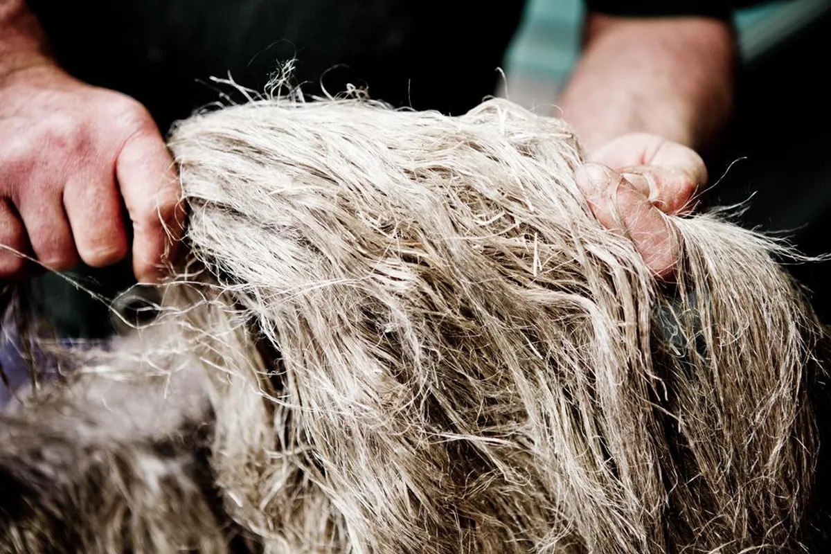 Libeco: materiaal en vakmanschap