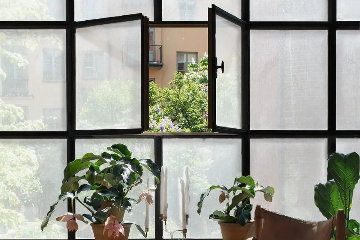 Squid: interieur