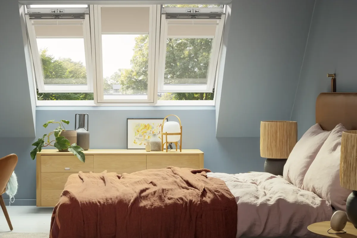 Velux: collectie
